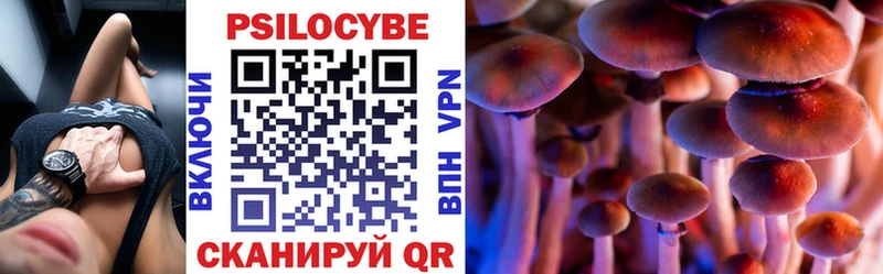 hydra как войти  Андреаполь  Псилоцибиновые грибы Magic Shrooms  где найти наркотики 